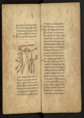 نور لملتمس .. زاد لمقتبس